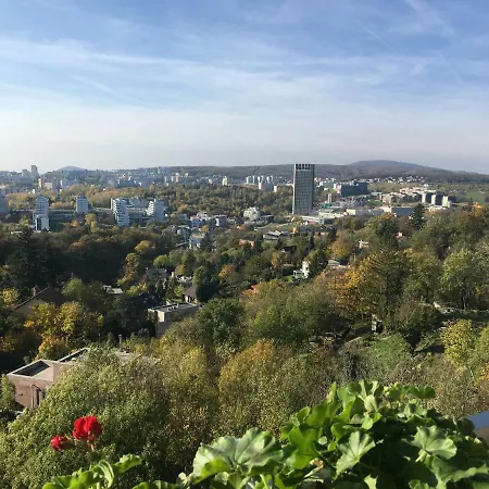 Elegant City Center