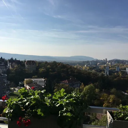 Elegant City Center